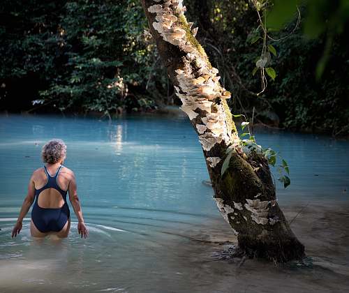 human woman wearing bikini near tree tree
