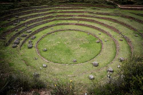 labyrinth green grass field photo maze