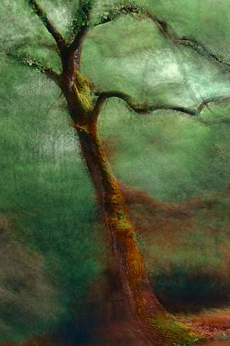 calm tree painting wall decor magical