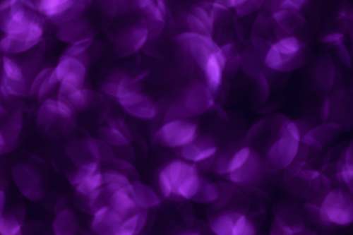 background purple flowers ogden