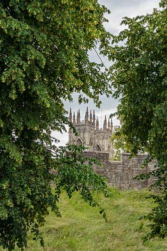 tower castle near trees steeple