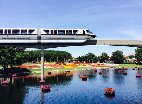 monorail white train and bridge rail