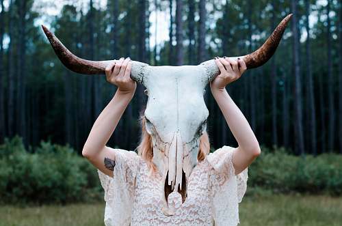 skull woman holding white and black animal skull wearing white lace floral sleeveless dress near green leaf trees trees