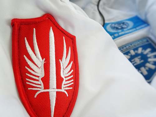 accessory red winged-sword patch tie