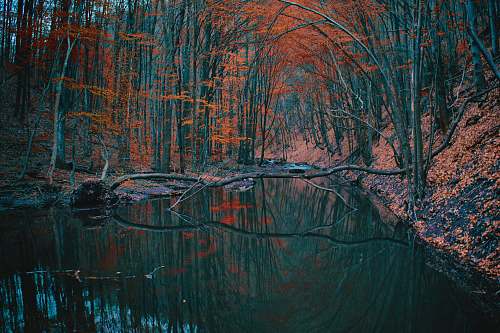 water calm body of water lake