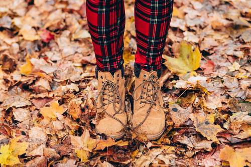 fall person standing on withered leaves plaid