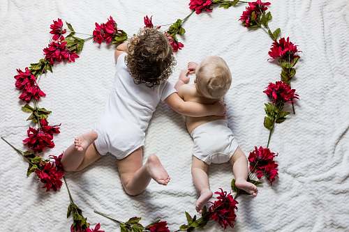 human two baby's lying surrounded by red petaled flowers person