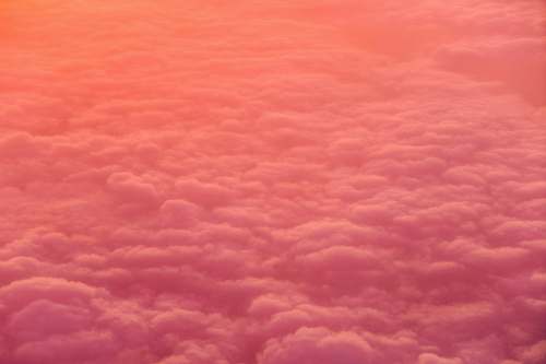 pink sea of white clouds sky