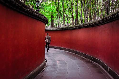 flora man walking on hallway surround by trees plant