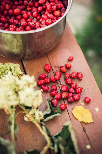 russia red seeds in gray container food