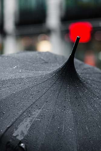 umbrella selective focus photography of black umbrella drop