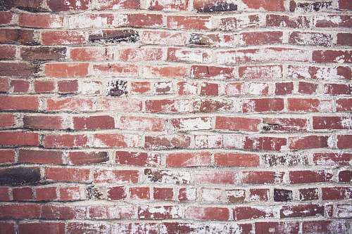 wall brown bricked wall san luis obispo