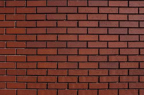 wall red bricks wall texture