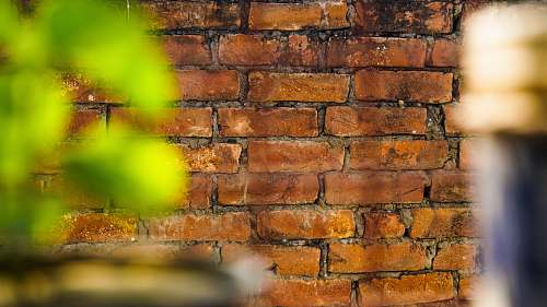 lucknow tilt-shift photography of brown brick wall india