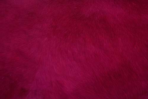 texture  kanpur