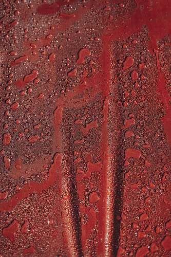 texture water drops on red hood red