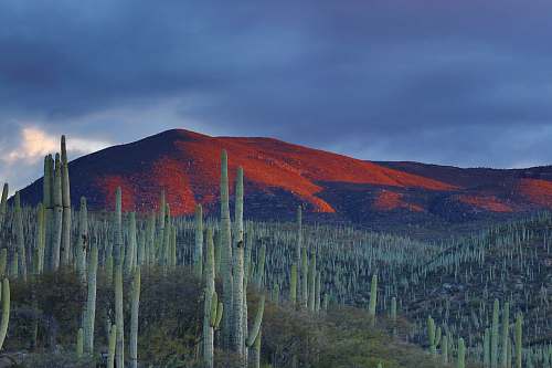 mexico mountain peak during daytime landscape