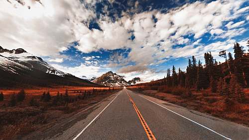 road landscape photography of gray ashaplt road between green leafed trees and brown grasses under cloudy sky during daytime alberta