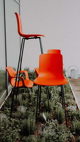 furniture three assorted-size orange chairs on green garden germany