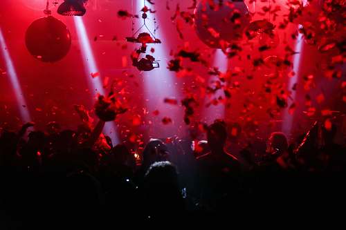 music people doing party leisure activities