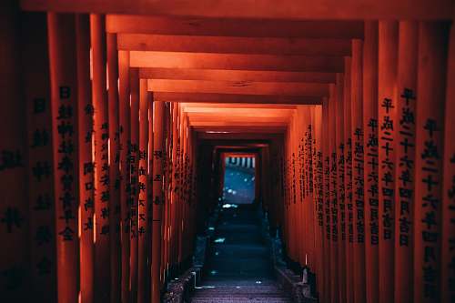 tokyo red gateway path japan