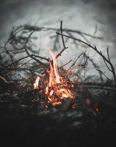 flame bonfire selective focus photography saint petersburg