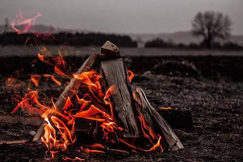 campfire brown bonfire on gray field flame
