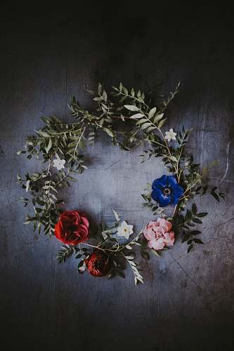 flower blue, red, and pink floral wreath blossom