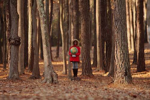 tree girl holding map scale surround by trees forest