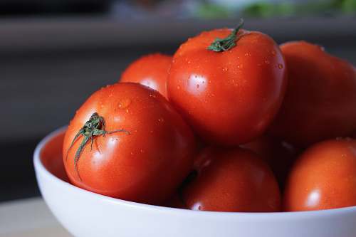 vegetable bowl of tomatoes tomato