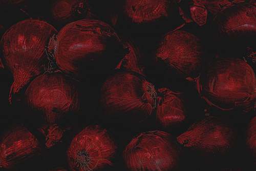 flora red bauble lot fruit