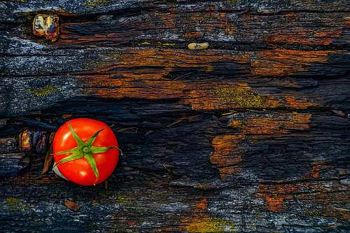 vegetable red tomato on brown log flora