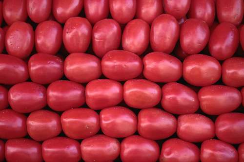 vegetable red tomatoes tomato