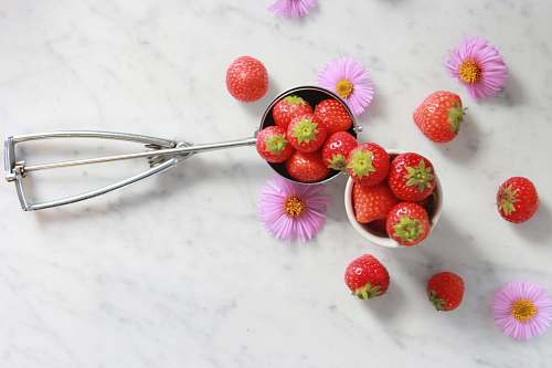 fruit strawberries on gray steel scooper strawberry