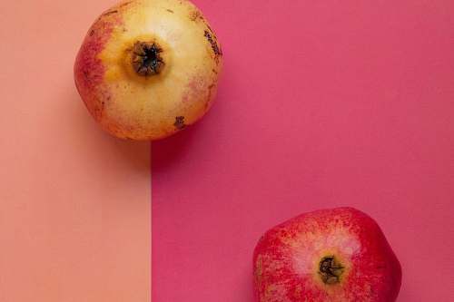 fruit two pomegranates plant
