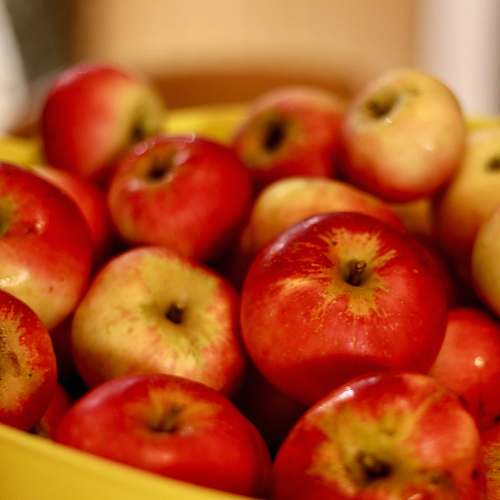 food red apple fruit lot plant
