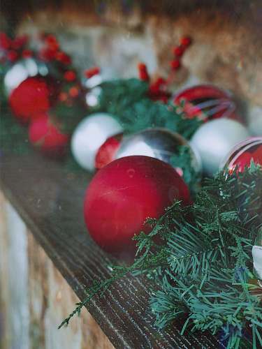 plant red, white, and silver baubles food