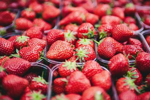 food selective focus photo of strawberries in clear plastic containers strawberry