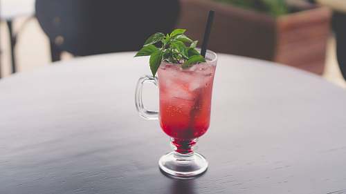 cocktail clear mug with straw and leafed plant drink