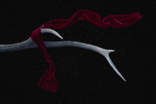 dark red scarf on antler antler