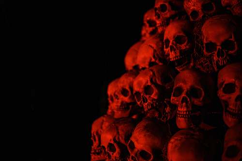 person gray skull wallpaper people