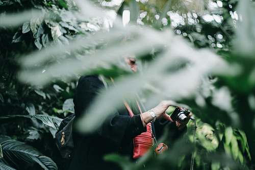 person man wearing black jacket looking at black point-and-shoot camera surrounded by green trees during daytime photographer