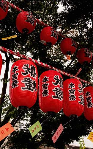 lantern  lamp