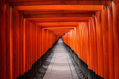 orange architectural photography of red wooden tori gate temple
