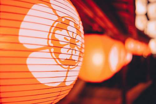 lantern selective photo of orange floral decor decoration
