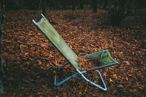 chair folding lounger on dried leaves forest