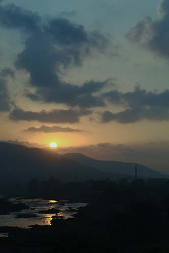 nature  sunlight