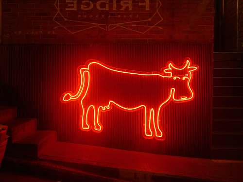 neon red cattle sign fridge love longer