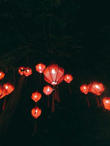 lantern red paper lanterns on green trees lamp