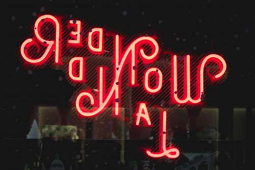 neon Wonderland neon signage at night london